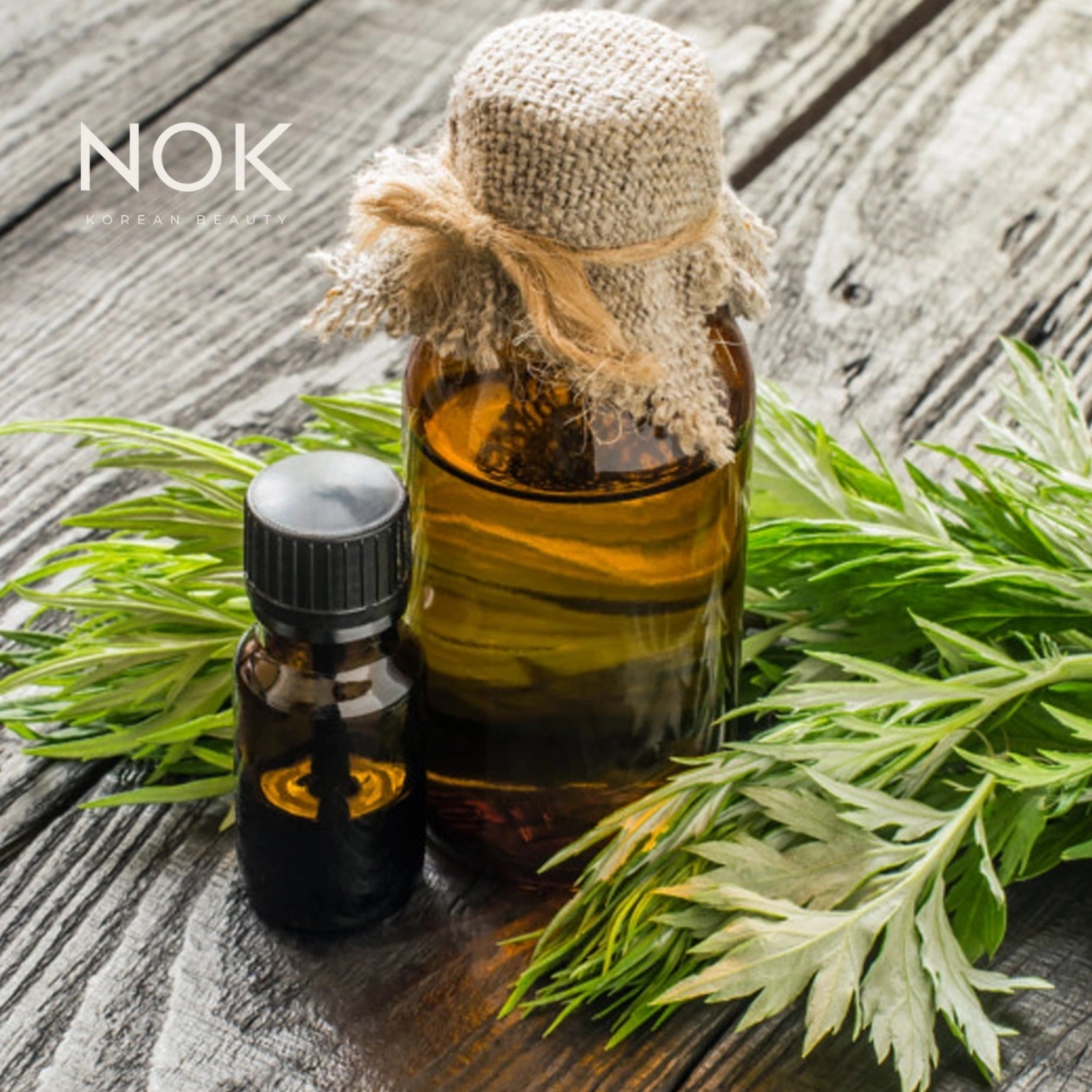 NOK Beauty calming serum with Artemisia Princeps Extract for sensitive skin care