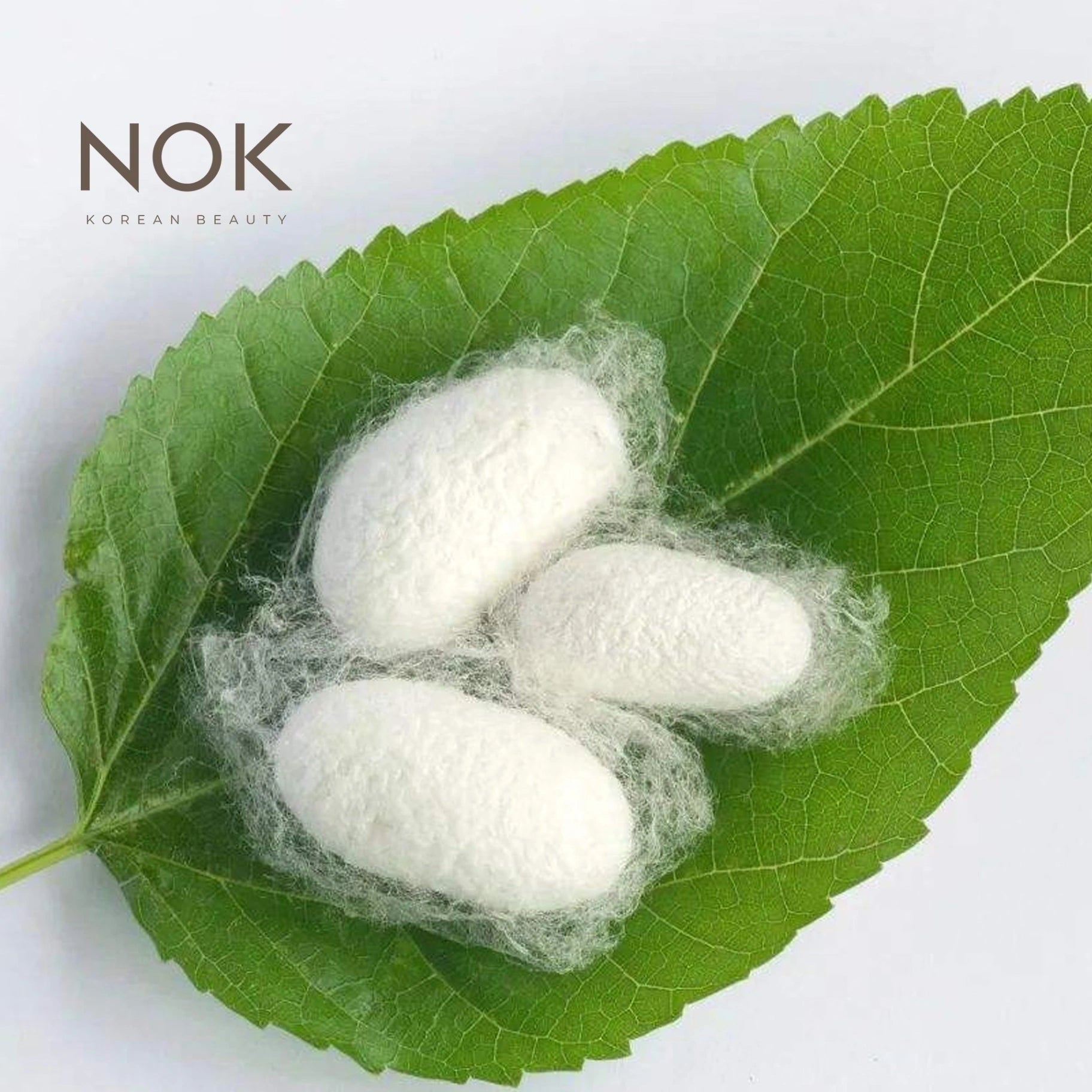 Hydrolyzed silk protein – a K-Beauty ingredient used in skincare for deep hydration and shine