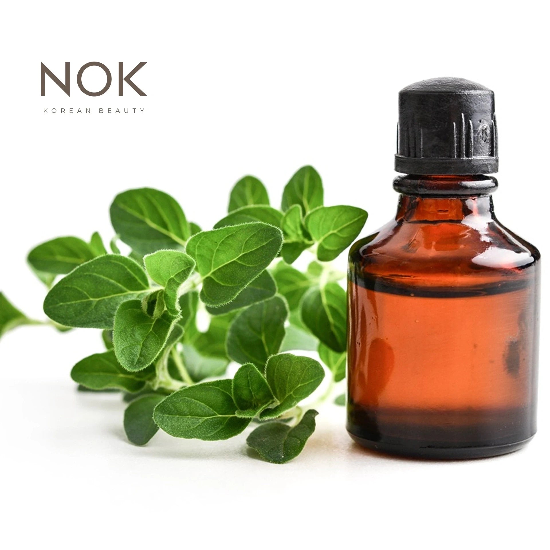 Tea Tree Leaf Extract – A powerful natural ingredient known for its antibacterial, anti-inflammatory, and acne-fighting properties. Used in K-beauty skincare to purify pores, reduce redness, and balance oily skin. Ideal for blemish-prone or sensitive complexions.